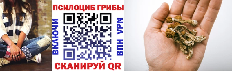 Псилоцибиновые грибы Magic Shrooms  Гремячинск 